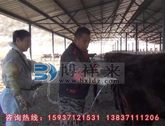 牛用B超培訓現場(chǎng)